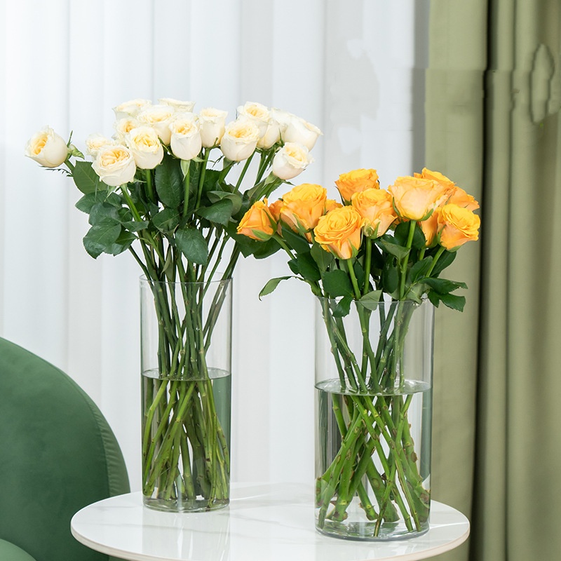 New Acrylic Clear Cylinder Flo - مراجعة Centerpiece Vase Tall وسعره