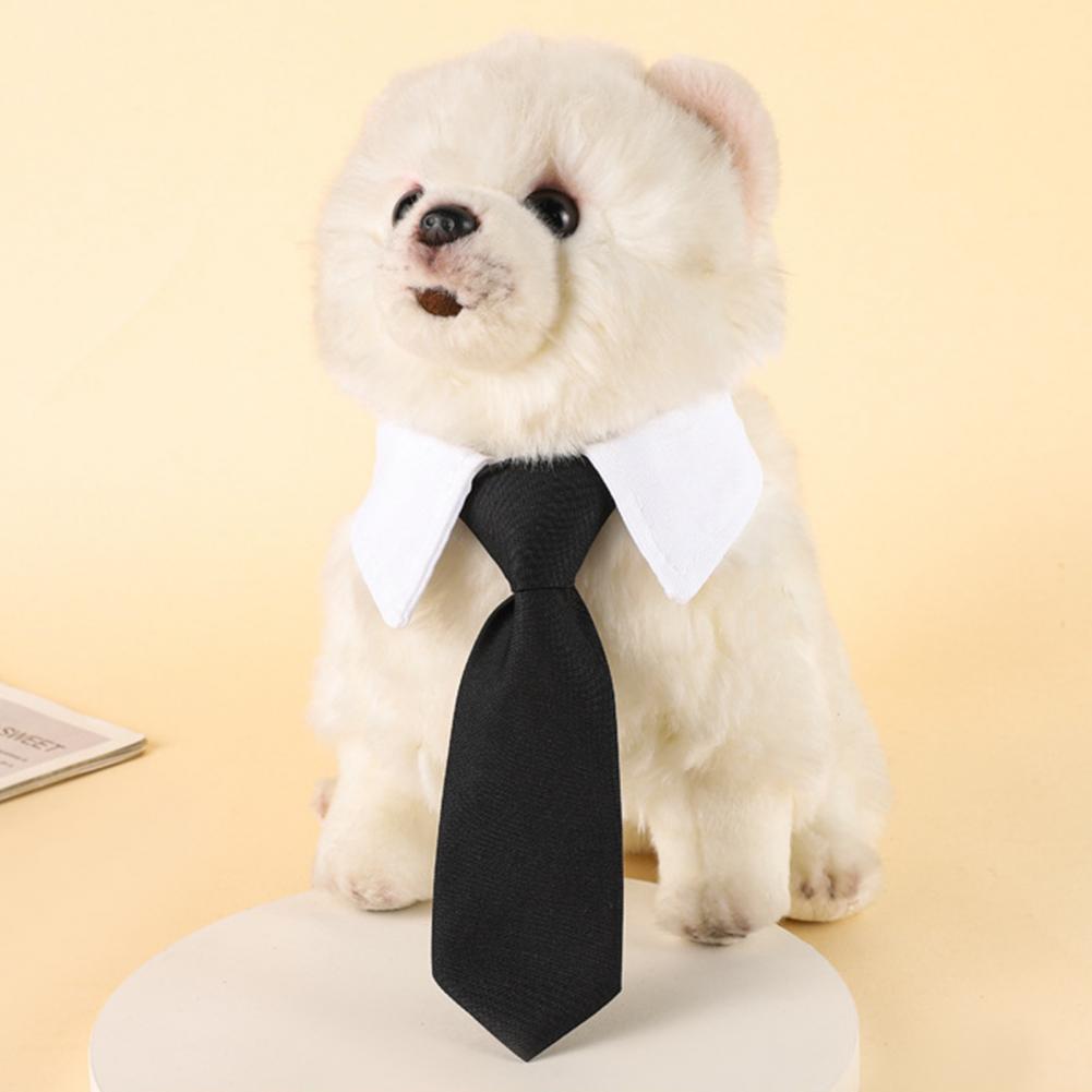 13-27cm Formal Dog Tuxedo Neck - مراجعة Suit Supply Wedding Party وسعره