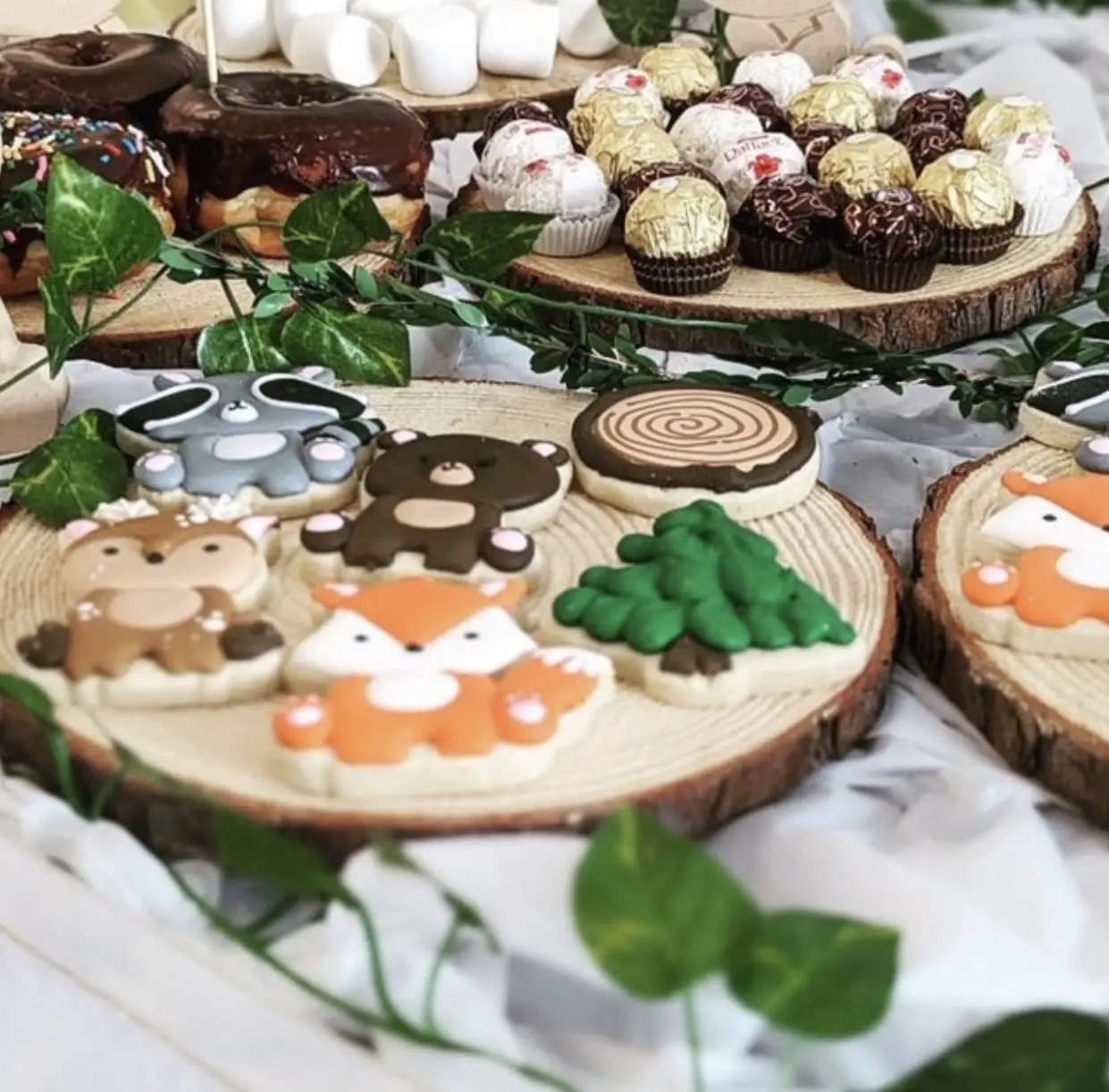 18-30cm Natural Wood Slices Ro - مراجعة Wedding Ceremony Supply وسعره