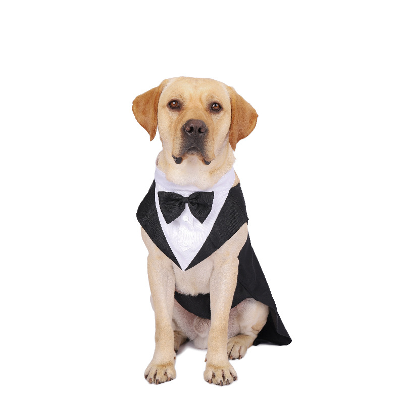 Pet Dog Clothes Fashion Party  - مراجعة Suit Supply Wedding Party وسعره