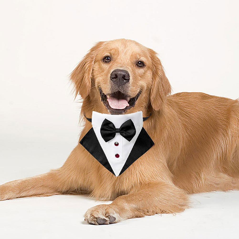 1 Set Dog Suit and Bandana Tux - مراجعة Suit Supply Wedding Party وسعره